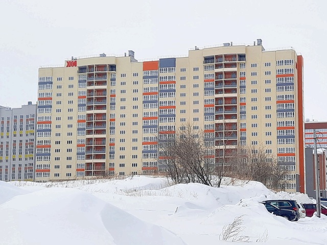 Новостройка Дружный-2, дом 4