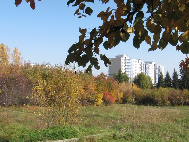 В Иркутске начали отыгрывать аукционы на благоустройство в 2021 году