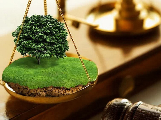 Торги на реновацию двух рынков по ул. Шахтеров отменили во второй раз